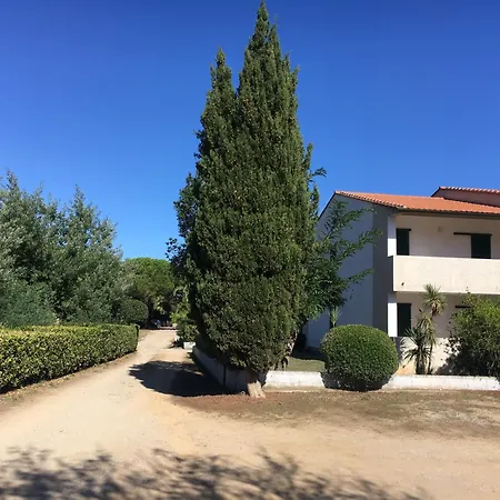 Alex 卡波利韦里