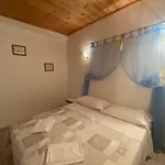 Alex 4*