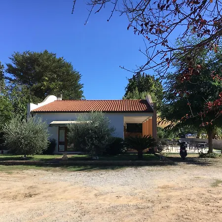 Alex Capoliveri (Isola d'Elba)